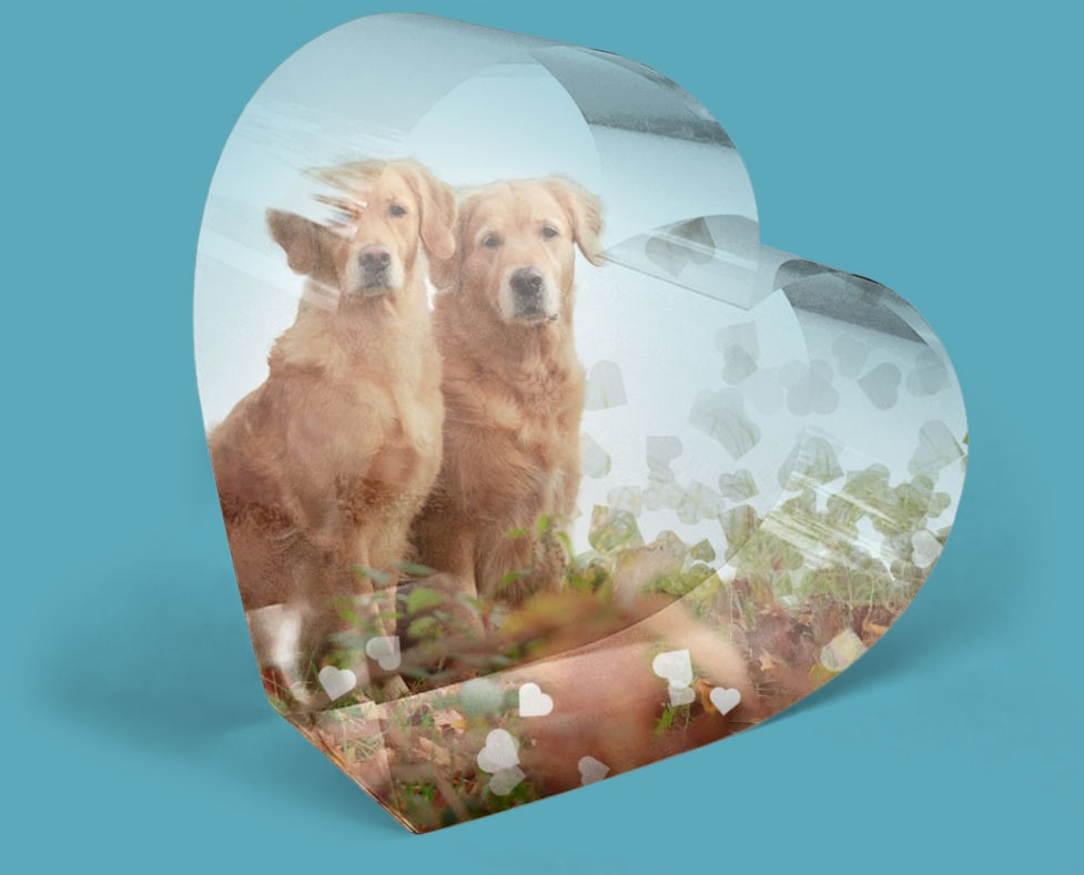 Waakbordje met eigen foto's